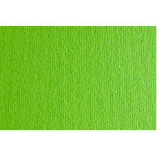 Папір для дизайну Elle Erre B1 (70*100см), №10 verde picello, 220 г/м2, салатовий, Fabriano