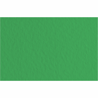 Бумага для пастели Tiziano A3 (29,7х42см), №12 prato, 160 г м2, зелёная, среднее зерно, Fabriano