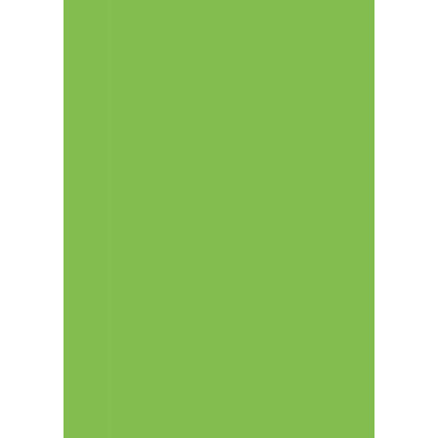 Бумага для дизайна Tintedpaper А4 (21х29,7см), №51светло-зеленая, 130 г м , без текстуры, Folia