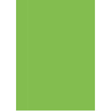 Бумага для дизайна Tintedpaper В2 (50х70см), №51светло-зеленая, 130 г м , без текстуры, Folia