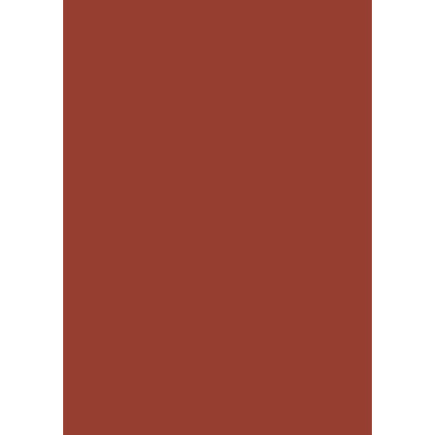 Бумага для дизайна Tintedpaper В2 (50х70см), №74, красно-коричневая, 130 г м , без текстуры, Folia